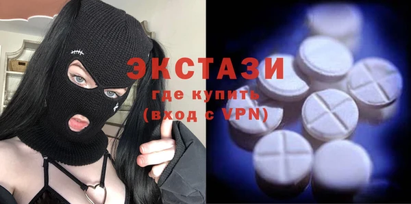 крисы Краснослободск