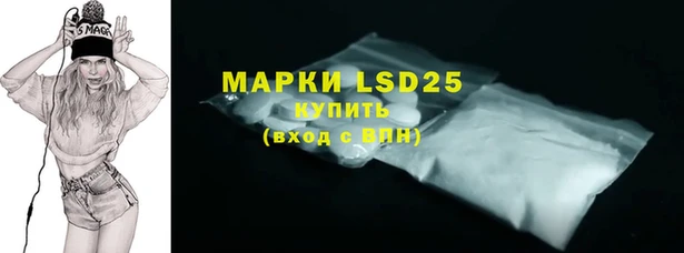крисы Краснослободск