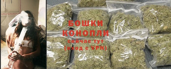 крисы Краснослободск