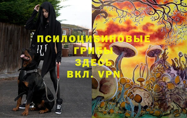 mdma Краснотурьинск