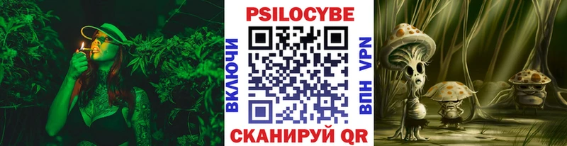 Псилоцибиновые грибы прущие грибы  Купить  Шахунья 